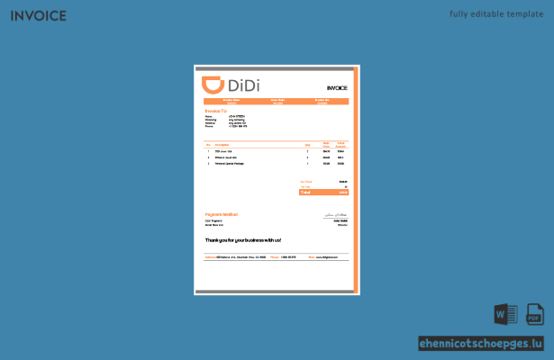 USA Didi Chuxing Rechnungsbeispiel Vorschau